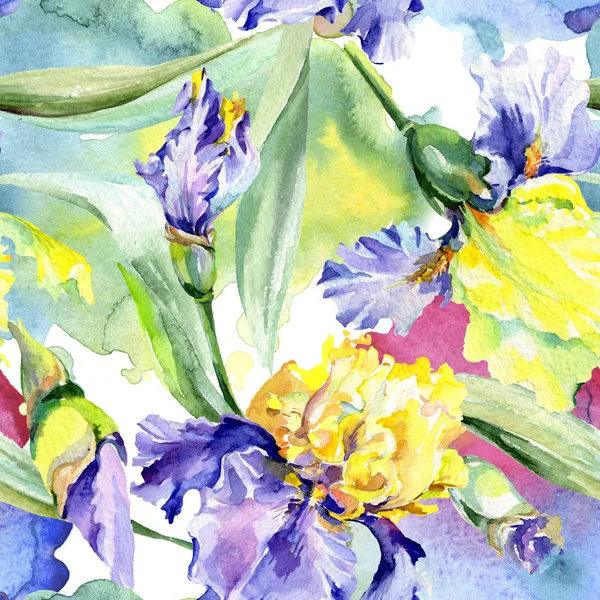 Iris amarillo púrpura. Flor botánica floral. Flor silvestre de hoja de primavera aislada. Conjunto de ilustración de fondo acuarela. Acuarela dibujo moda aquarelle aislado . - foto de stock