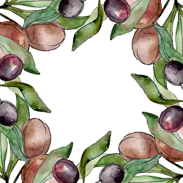 Olives noires aquarelle fond illustration ensemble. Aquarelle dessin feuille verte aquarelle. Cadre bordure carré . — Photo de stock