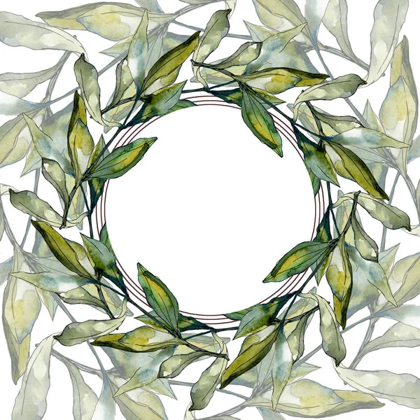 Olives noires aquarelle fond illustration ensemble. Aquarelle dessin feuille verte aquarelle. Cadre bordure carré . — Photo de stock