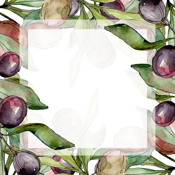 Black olives watercolor background illustration set. Watercolour drawing aquarelle green leaf. Frame border square. — Stock Photo