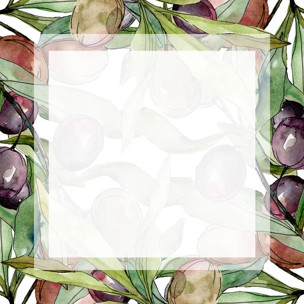 Schwarze Oliven Aquarell Hintergrund Illustrationsset. Aquarell Zeichnung Aquarell grünes Blatt. Rahmenrandquadrat. — Stockfoto