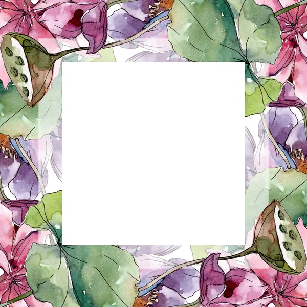 Lotus flores botânicas florais. Folha selvagem primavera wildflower isolado. Conjunto de ilustração de fundo aquarela. Aquarelle desenho aquarelle moda isolado. Quadro borda ornamento quadrado . — Fotografia de Stock