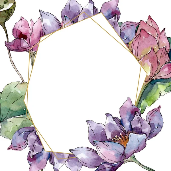 Lotus fleurs botaniques florales. Feuille sauvage de printemps fleur sauvage isolée. Ensemble d'illustration de fond aquarelle. Aquarelle dessin mode aquarelle isolé. Cadre bordure cristal ornement carré . — Photo de stock