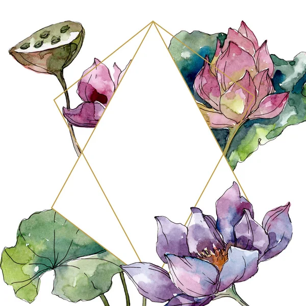 Lotus fleurs botaniques florales. Feuille sauvage de printemps fleur sauvage isolée. Ensemble d'illustration de fond aquarelle. Aquarelle dessin mode aquarelle isolé. Cadre bordure cristal ornement carré . — Photo de stock