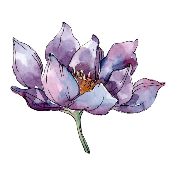 Lotus floral botanical flowers. Wild spring leaf wildflower isolated. Watercolor background illustration set. Watercolour drawing fashion aquarelle isolated. Isolated lotus illustration element. — Stock Photo