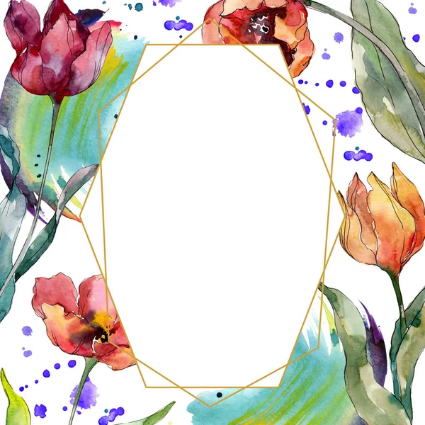 Rote Tulpe Blumen botanische Blume. wildes Frühlingsblatt Wildblume isoliert. Aquarell Hintergrundillustration Set. Aquarellzeichnung Modeaquarell isoliert. Rahmen Rand Kristall Ornament Quadrat. — Stockfoto