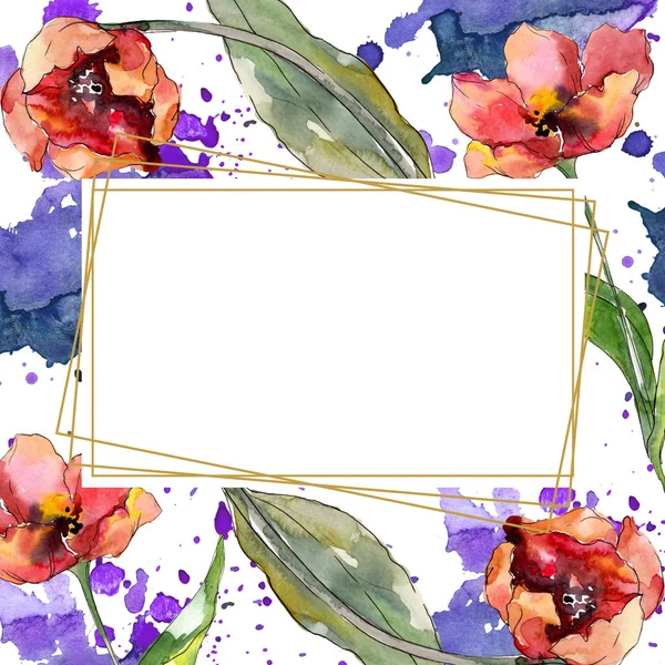 Flor botánica de tulipán rojo. Flor silvestre de hoja de primavera aislada. Conjunto de ilustración de fondo acuarela. Acuarela dibujo moda aquarelle. Marco borde cristal ornamento cuadrado . - foto de stock