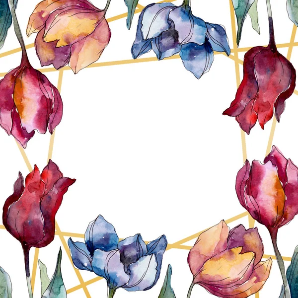 Tulipa flores botânicas florais. Folha selvagem primavera wildflower isolado. Conjunto de ilustração de fundo aquarela. Aquarelle desenho aquarelle moda isolado. Quadro borda cristal ornamento quadrado . — Fotografia de Stock