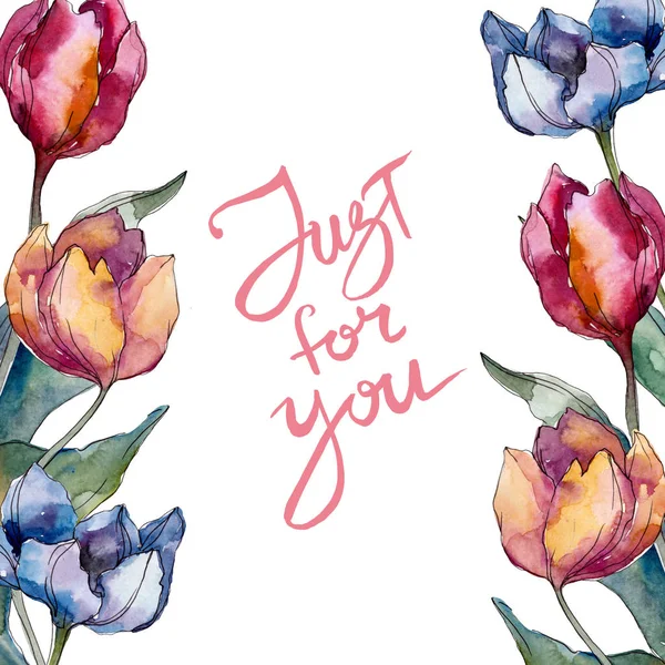 Botanische Tulpenblüten. wildes Frühlingsblatt Wildblume isoliert. Aquarell Hintergrundillustration Set. Aquarellzeichnung Modeaquarell isoliert. Rahmen Rand Ornament Quadrat. — Stockfoto