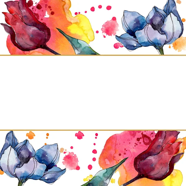 Botanische Tulpenblüten. wildes Frühlingsblatt Wildblume isoliert. Aquarell Hintergrundillustration Set. Aquarellzeichnung Modeaquarell isoliert. Rahmen Rand Ornament Quadrat. — Stockfoto
