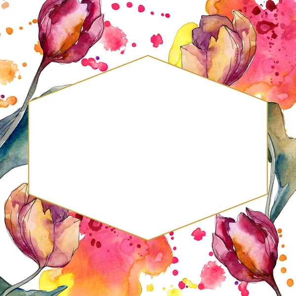 Tulip floral botanical flowers. Wild spring leaf wildflower isolated. Watercolor background illustration set. Watercolour drawing fashion aquarelle isolated. Frame border crystal ornament square. — Stock Photo