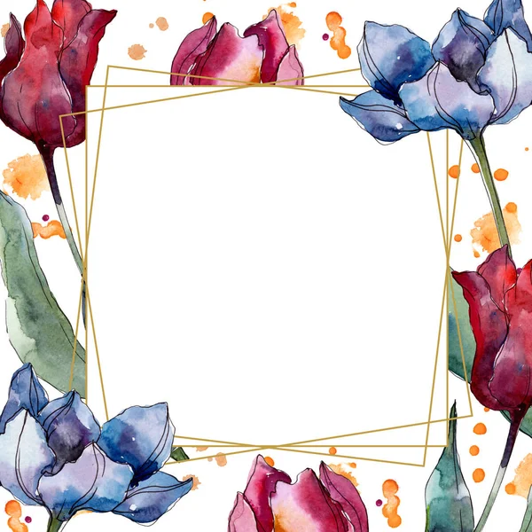 Tulipa flores botânicas florais. Folha selvagem primavera wildflower isolado. Conjunto de ilustração de fundo aquarela. Aquarelle desenho aquarelle moda isolado. Quadro borda cristal ornamento quadrado . — Fotografia de Stock