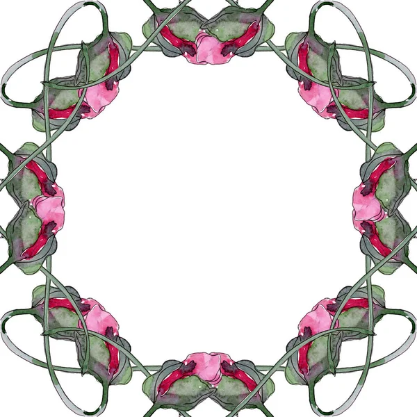 Квіткова ботанічна квітка. Набір ілюстрацій для акварельного фону. Каркасна площа прикордонного орнаменту . — стокове фото