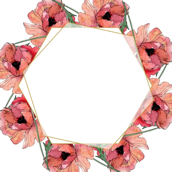 Poppy floral botanical flower. Watercolor background illustration set. Frame border ornament square. — Stock Photo