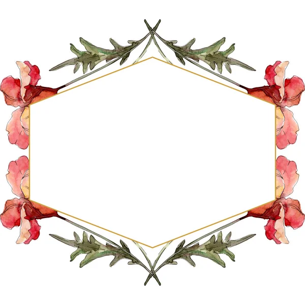 Fiore botanico floreale papavero. Acquerello sfondo illustrazione set. Quadrato ornamento bordo cornice . — Stock Photo