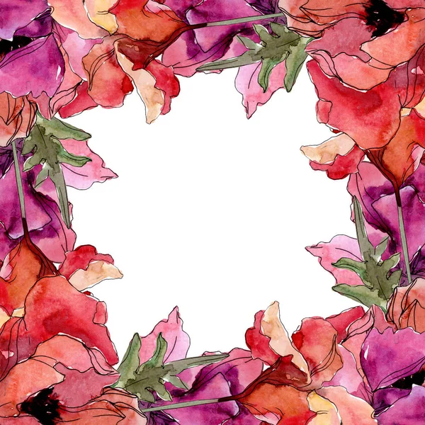 Flor botânica floral papoula. Conjunto de ilustração de fundo aquarela. Quadro borda ornamento quadrado . — Fotografia de Stock