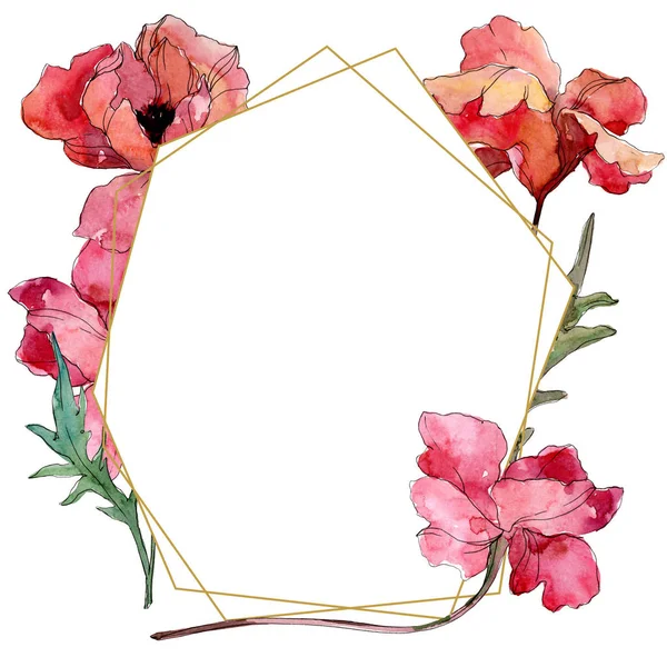 Flor botânica floral papoula. Conjunto de ilustração de fundo aquarela. Quadro borda ornamento quadrado . — Fotografia de Stock