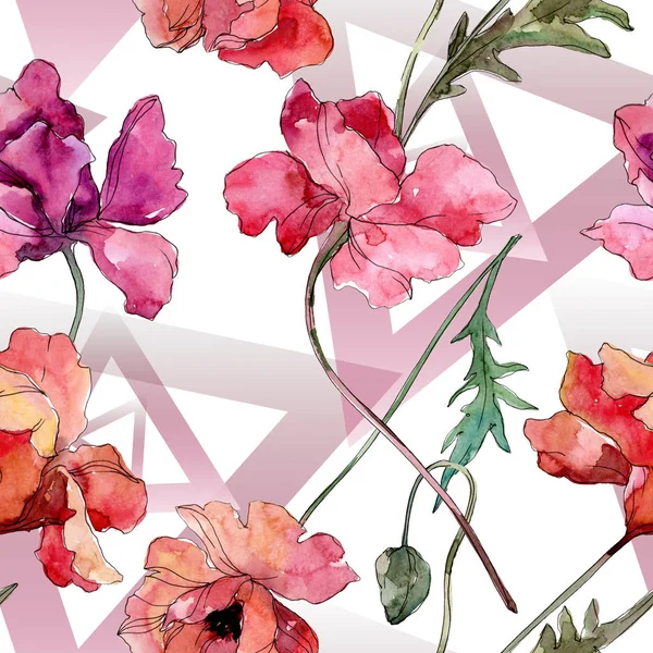 Fleur botanique florale de pavot. Ensemble d'illustration de fond aquarelle. Modèle de fond sans couture . — Photo de stock