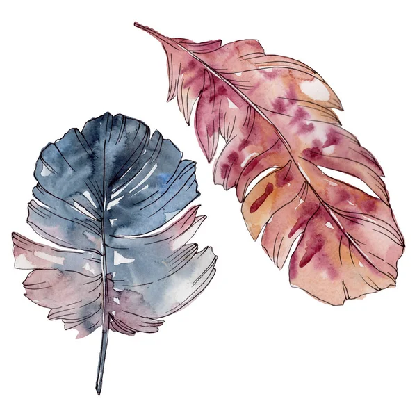 Colorful bird feather from wing isolated. Watercolor background set. Isolated feathers illustration element. — Stock Photo