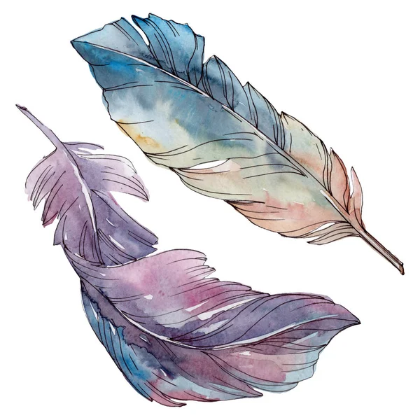 Colorful bird feather from wing isolated. Watercolor background set. Isolated feathers illustration element. — Stock Photo