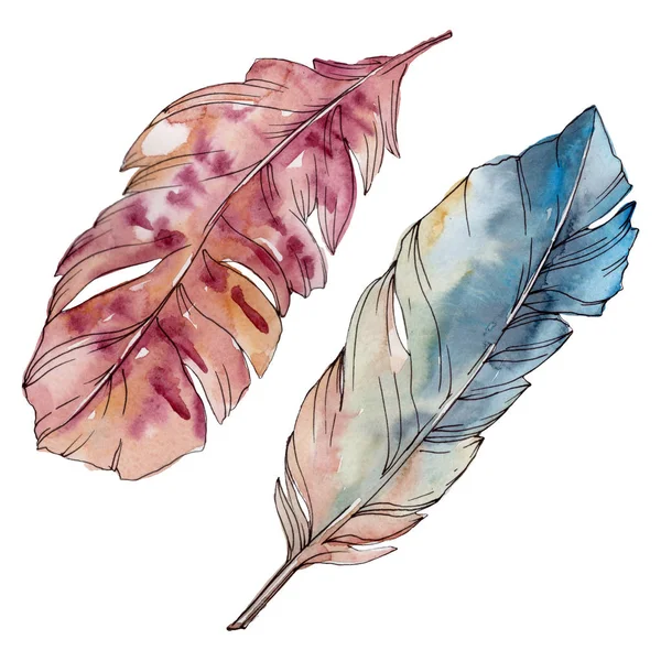 Colorful bird feather from wing isolated. Watercolor background set. Isolated feathers illustration element. — Stock Photo