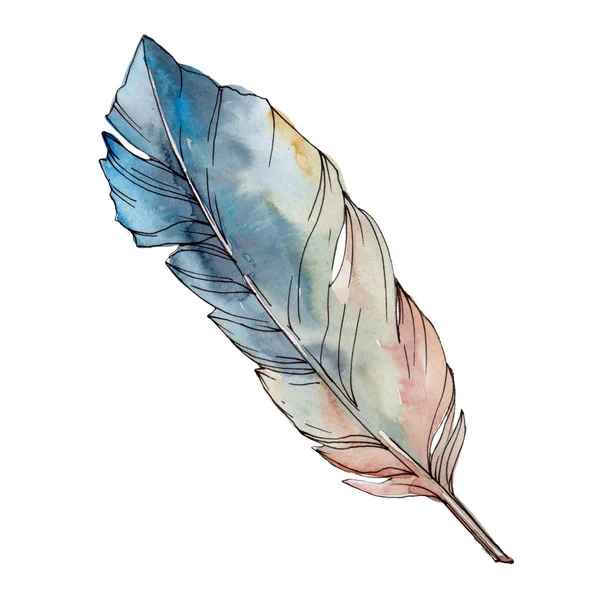 Colorful bird feather from wing isolated. Watercolor background set. Isolated feathers illustration element. — Stock Photo