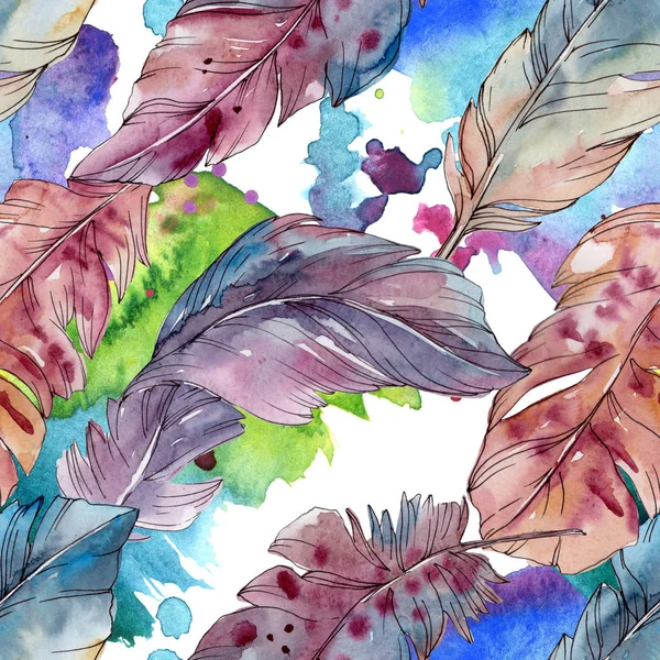 Colorful bird feather from wing isolated. Watercolor background illustration set. Seamless background pattern. — Stock Photo