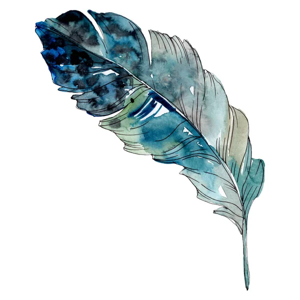 Plume d'oiseau colorée de l'aile isolée. Ensemble d'illustration de fond aquarelle. Élément isolé d'illustration de plumes . — Photo de stock