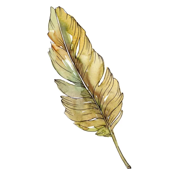 Colorful bird feather from wing isolated. Watercolor background illustration set. Isolated feather illustration element. — Stock Photo