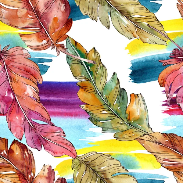 Pluma colorida de pájaro de ala aislada. Conjunto de ilustración de fondo acuarela. Patrón de fondo sin costuras . — Stock Photo