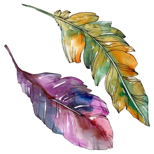 Colorful bird feather from wing isolated. Watercolor background illustration set. Isolated feather illustration element. — Stock Photo