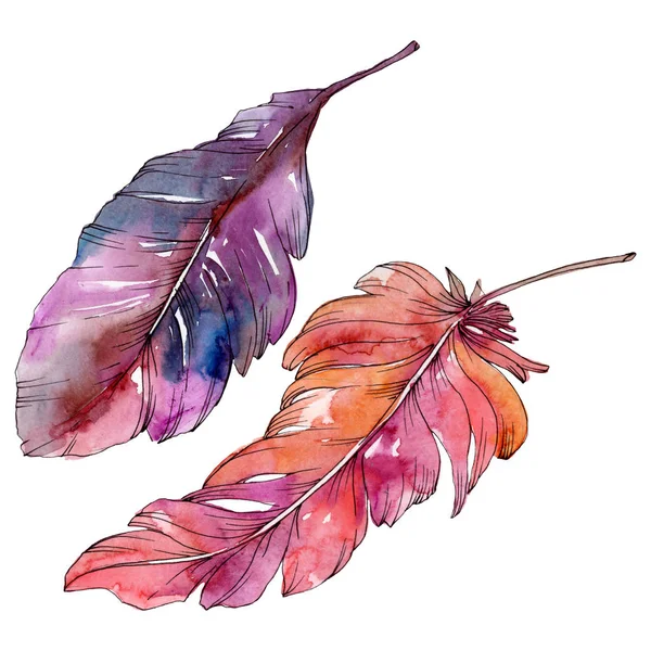 Colorful bird feather from wing isolated. Watercolor background illustration set. Isolated feather illustration element. — Stock Photo