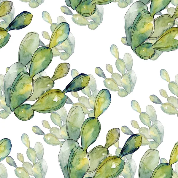 Зелені кактуси квіткові ботанічні квіти. Набір ілюстрацій для акварельного фону. Безшовний візерунок тла . — стокове фото