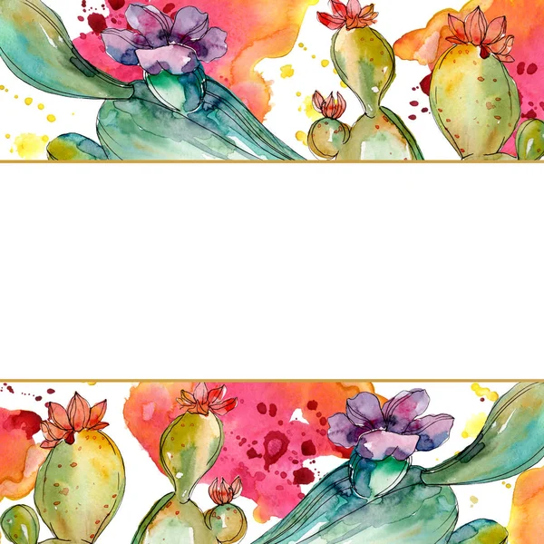 Fleurs botaniques florales de cactus vert. Ensemble d'illustration de fond aquarelle. Cadre bordure ornement carré . — Photo de stock