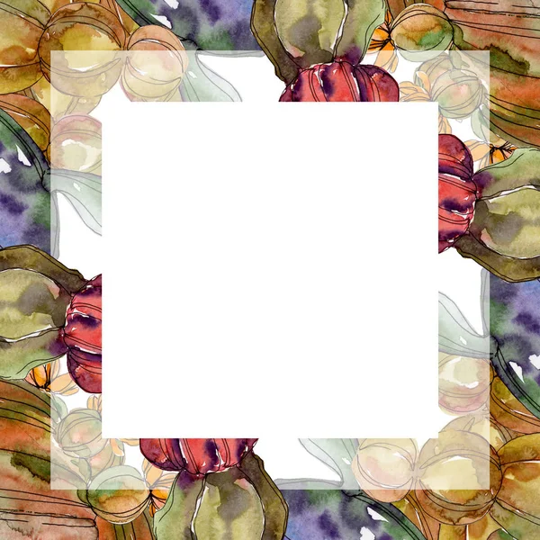 Kaktus blühende botanische Blumen. wildes Frühlingsblatt Wildblume isoliert. Aquarell Hintergrundillustration Set. Aquarellzeichnung Modeaquarell isoliert. Rahmen Rand Ornament Quadrat. — Stockfoto