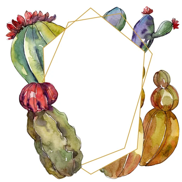 Fleurs botaniques florales de cactus. Feuille sauvage de printemps fleur sauvage isolée. Ensemble d'illustration de fond aquarelle. Aquarelle dessin mode aquarelle isolé. Cadre bordure cristal ornement carré . — Photo de stock