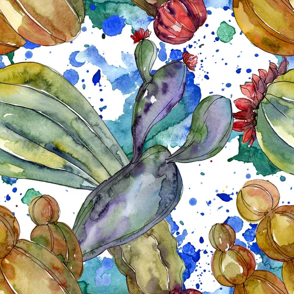 Kaktus blühende botanische Blumen. wilde Frühlingsblume. Aquarell-Illustrationsset vorhanden. Aquarell zeichnen Mode-Aquarell. nahtlose Hintergrundmuster. Stoff Tapete drucken Textur. — Stockfoto