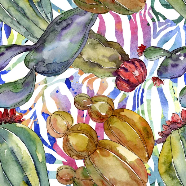 Kaktus blühende botanische Blumen. wilde Frühlingsblume. Aquarell-Illustrationsset vorhanden. Aquarell zeichnen Mode-Aquarell. nahtlose Hintergrundmuster. Stoff Tapete drucken Textur. — Stockfoto