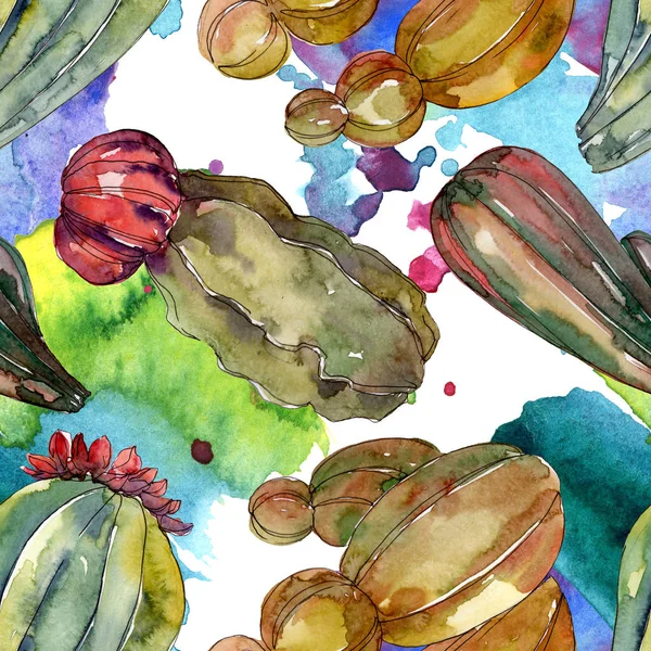 Flores botánicas florales de cactus. Flor silvestre de hoja de primavera. Juego de ilustración en acuarela. Acuarela dibujo moda aquarelle. Patrón de fondo sin costuras. Textura de impresión de papel pintado de tela . - foto de stock