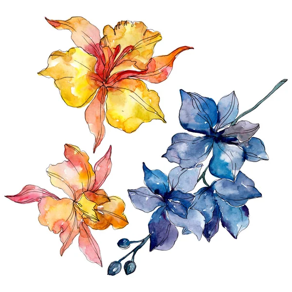 Orchid floral botanical flowers. Wild spring leaf wildflower isolated. Watercolor background illustration set. Watercolour drawing fashion aquarelle. Isolated orchids illustration element. — Stock Photo