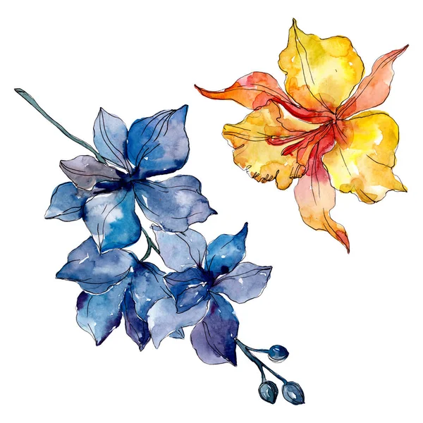 Fleurs botaniques florales d'orchidée. Feuille sauvage de printemps fleur sauvage isolée. Ensemble d'illustration de fond aquarelle. Aquarelle dessin mode aquarelle. Élément d'illustration d'orchidées isolées . — Photo de stock