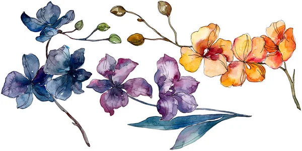 Orchid floral botanical flowers. Watercolor background illustration set. Isolated orchids illustration element. — Stock Photo