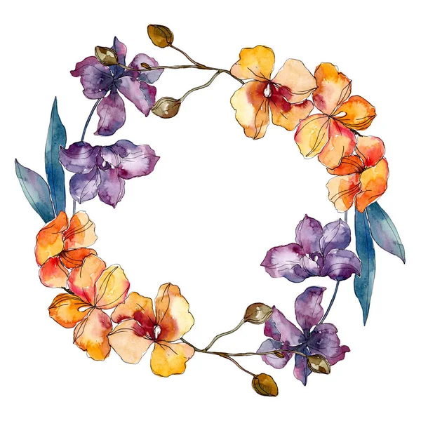 Fiori botanici floreali del Orchid. Acquerello sfondo illustrazione set. Quadrato ornamento bordo cornice . — Foto stock