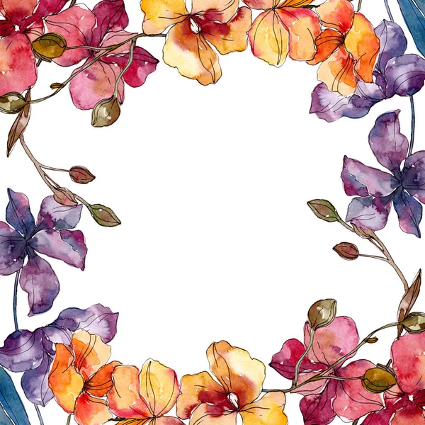 Fiori botanici floreali del Orchid. Acquerello sfondo illustrazione set. Quadrato ornamento bordo cornice . — Foto stock