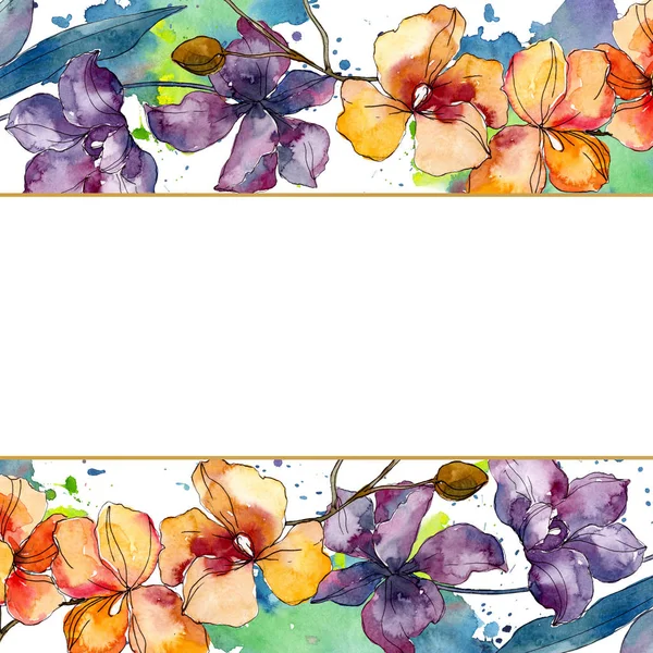 Orchidee florale botanische Blumen. Aquarell Hintergrundillustration Set. Rahmen Rand Ornament Quadrat. — Stockfoto