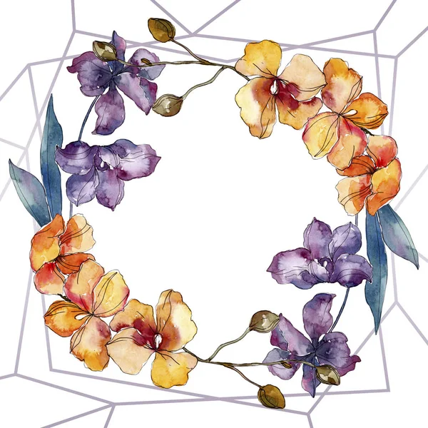 Орхидея цветочные ботанические цветы. Набор акварельных фонов. Граничный орнамент . — стоковое фото