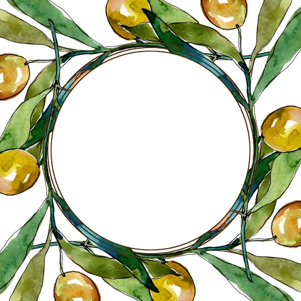 Ramo d'ulivo con frutto nero e verde. Acquerello sfondo illustrazione set. Quadrato ornamento bordo cornice . — Stock Photo