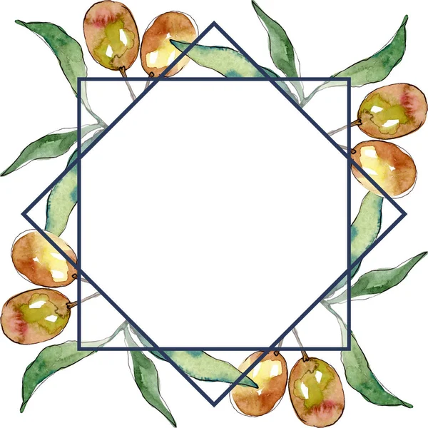 Branche d'olivier aux fruits noirs et verts. Ensemble d'illustration de fond aquarelle. Cadre bordure ornement carré . — Photo de stock