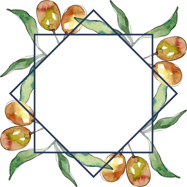 Olive branch with black and green fruit. Watercolor background illustration set. Frame border ornament square. — Stock Photo