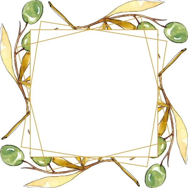 Rama de olivo con fruta negra y verde. Conjunto de ilustración de fondo acuarela. Marco borde ornamento cuadrado . - foto de stock